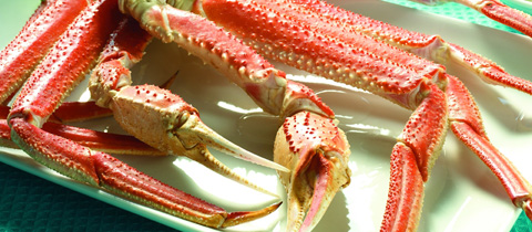 Alaskan Snow Crab - Bairdi Crab 