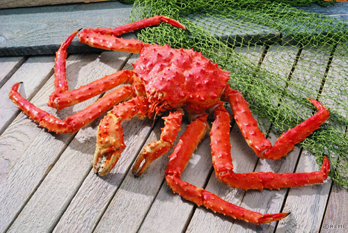 Alaskan red king crab (cooked)