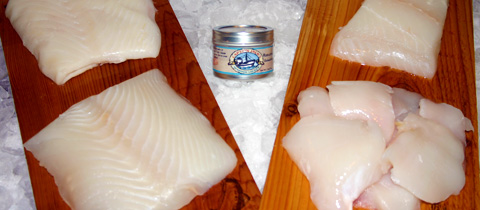 Longline Harvest - 4 lbs. Halibut Fillet, 1 lb. Halibut Cheeks w/Signature Spice - FedEx Shipping Included!
