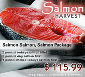 5lb Package Wild Alaskan KING Salmon Fillets - Overnight Shipping Included! 